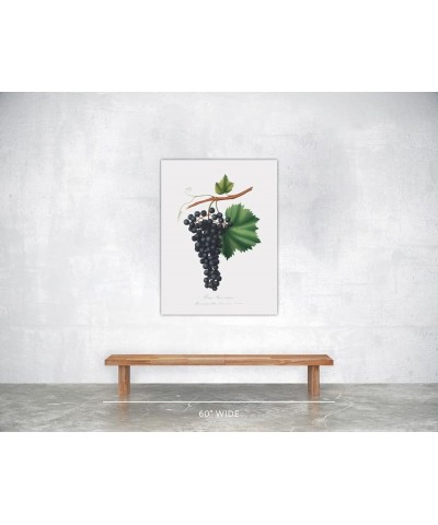 Uva Berzemina - Grape Print Only(Matte) 30x40 $36.43 Designer