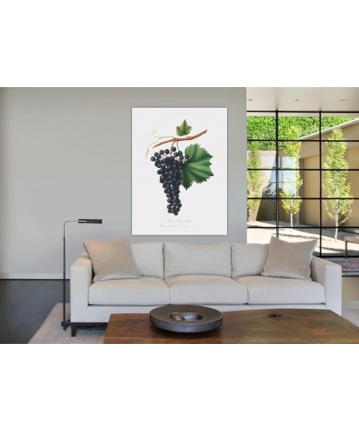 Uva Berzemina - Grape Print Only(Matte) 30x40 $36.43 Designer