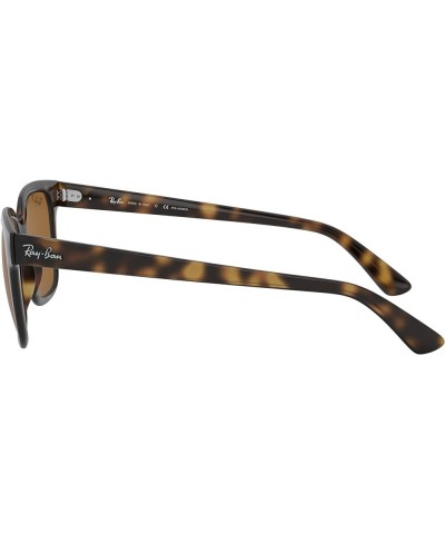 Rb4323 Square Sunglasses Light Havana/Polarized Brown $54.14 Square