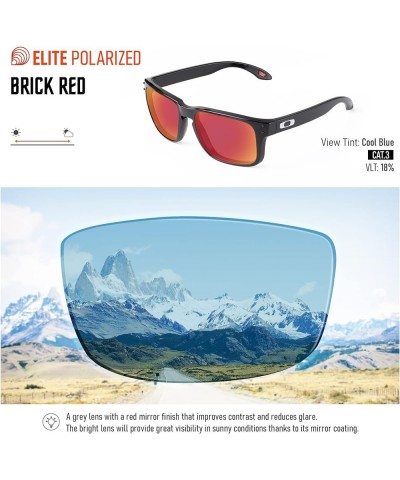 Polarized Replacement Lenses for Dragon Roadblock Sunglasses Brick Red $14.56 Wayfarer