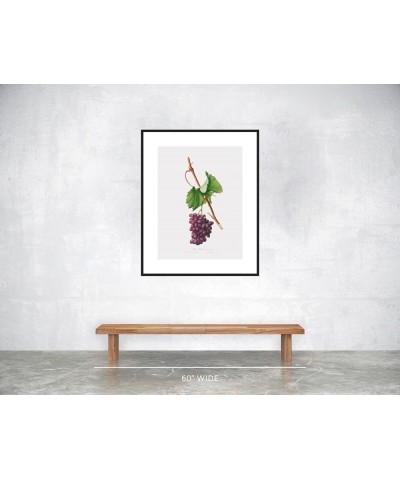 Uva Barbarossa - Grape Barberossa Black frame 24x32 $99.31 Rectangular