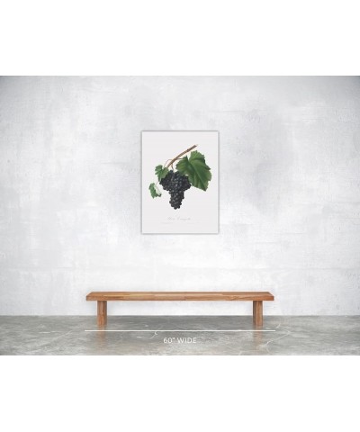 Uva Canajola - Black Canaiolo Print Only(Matte) 24x32 $105.58 Rectangular