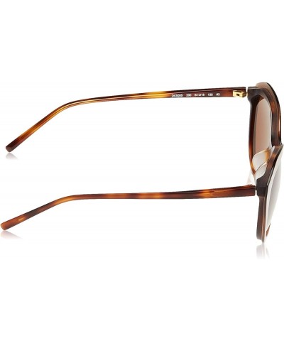 Women's Dk508s Cat Eye Sunglasses Brown / Brown Tortoise $41.15 Cat Eye