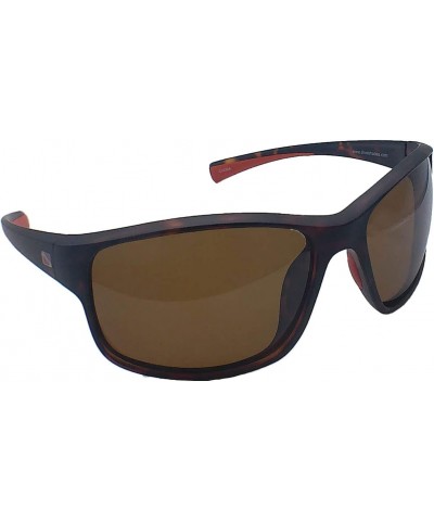 Aruba II Sunglasses - Tortoise $26.00 Wayfarer