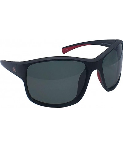 Aruba II Sunglasses - Tortoise $26.00 Wayfarer