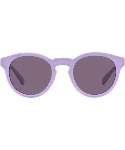 Men's Ph4184 Round Sunglasses Shiny Sky Lavender/Violet $34.34 Round