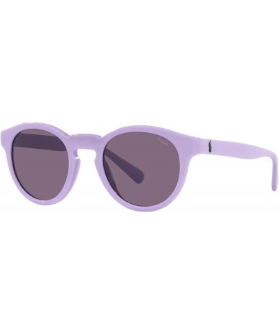 Men's Ph4184 Round Sunglasses Shiny Sky Lavender/Violet $34.34 Round