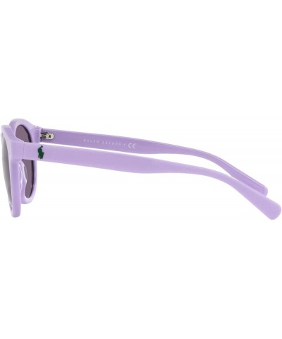 Men's Ph4184 Round Sunglasses Shiny Sky Lavender/Violet $34.34 Round