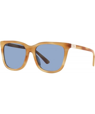 Women's Ph4201u Universal Fit Square Sunglasses Shiny Light Honey Havana/Light Blue $43.88 Square