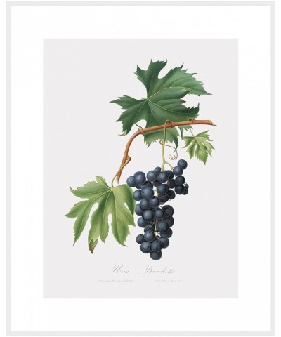 Uva Brachetto - Grape White frame 30x40 $58.03 Designer