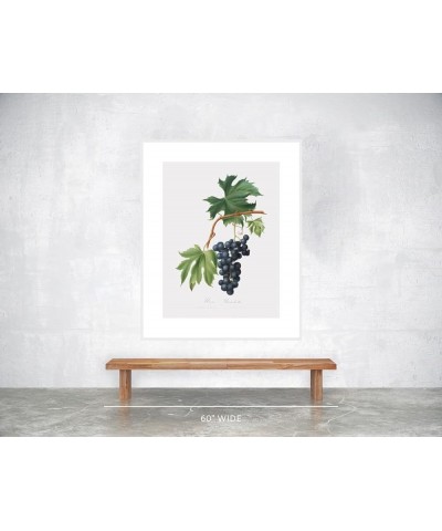 Uva Brachetto - Grape White frame 30x40 $58.03 Designer