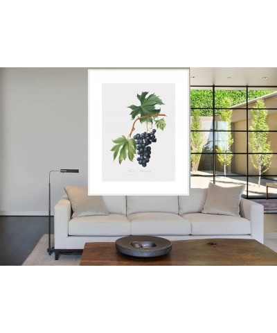 Uva Brachetto - Grape White frame 30x40 $58.03 Designer