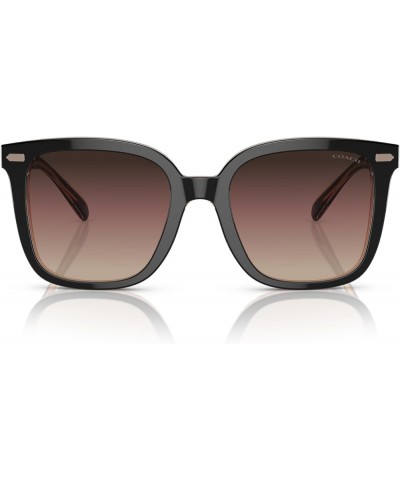 Women's Hc8381f Low Bridge Fit Square Sunglasses Black/Transparent Blush/Brown Purple Grey Gradient $58.28 Oversized