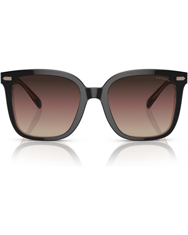 Women's Hc8381f Low Bridge Fit Square Sunglasses Black/Transparent Blush/Brown Purple Grey Gradient $58.28 Oversized