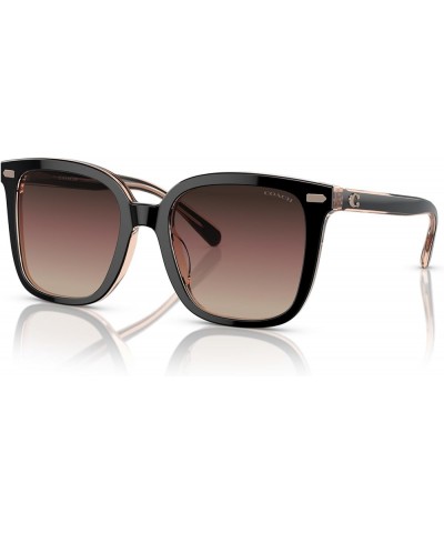 Women's Hc8381f Low Bridge Fit Square Sunglasses Black/Transparent Blush/Brown Purple Grey Gradient $58.28 Oversized