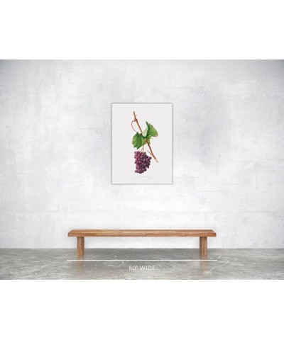 Uva Barbarossa - Grape Barberossa Print Only(Matte) 24x32 $37.37 Rectangular