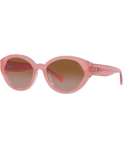 Women's Hc8364u Universal Fit Oval Sunglasses Milky Pink/Transparent Pink/Brown Gradient $65.22 Oval