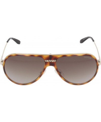 Sunglasses - 89 / Frame: Light Havana Lens: Brown Gradient $40.00 Round