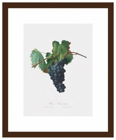 Uva Crovino - Grape Walnut frame 9x12 $34.81 Designer