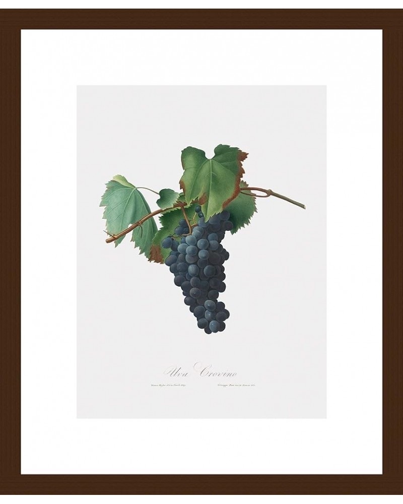 Uva Crovino - Grape Walnut frame 9x12 $34.81 Designer