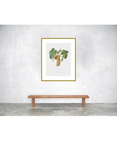 Uva Trebbiana Fiorentino - Trebbiano Grapes Gold frame 24x32 $148.48 Rectangular