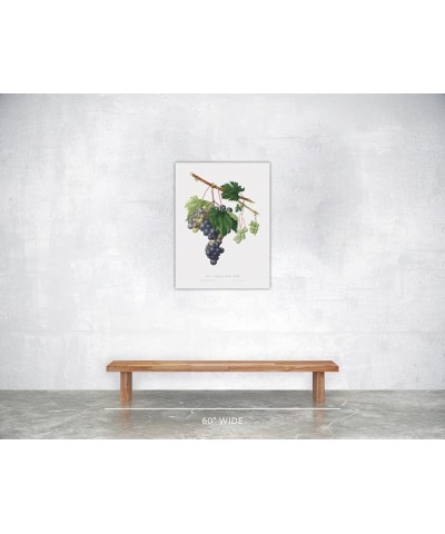 Uva Trifera - Grape from Ischia Print Only(Matte) 24x32 $44.08 Designer