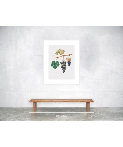 Uva Bizzaria - Summer Grape White frame 24x32 $43.18 Designer