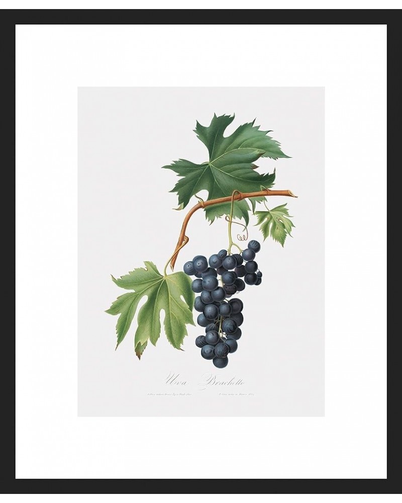 Uva Brachetto - Grape Black frame 12x16 $58.03 Designer