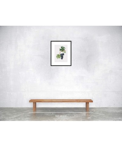 Uva Brachetto - Grape Black frame 12x16 $58.03 Designer