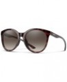 Unisex Bayside Lifestyle Sunglasses Tortoise / Brown Gradient $46.00 Sport