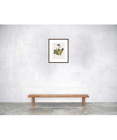 Uva Vermantino - Vermentino Grapes Walnut frame 12x16 $41.28 Designer