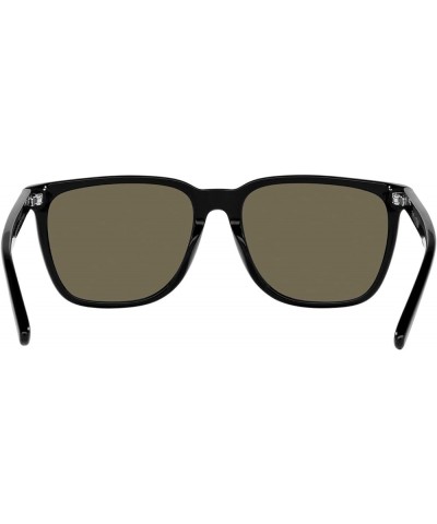 Men's Cp5015u Universal Fit Square Sunglasses Shiny Black/Brown $14.24 Square