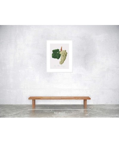 Uva Albarola Genovese - White Grape White frame 18x24 $112.18 Rectangular