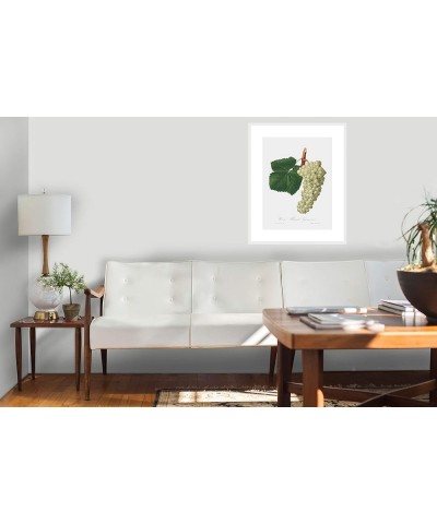 Uva Albarola Genovese - White Grape White frame 18x24 $112.18 Rectangular